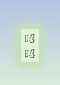 昭昭小说讲的是什么